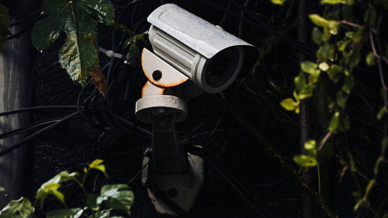 An old surveillance camera surrounded by green leaves